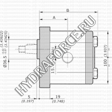 2SPG (2SP-G) шестерёнчатый насос второй группы (4,0 см3 - 31,5 см3), фланец Ø = 36,5 мм, 96x72 мм (Galtech, Италия)